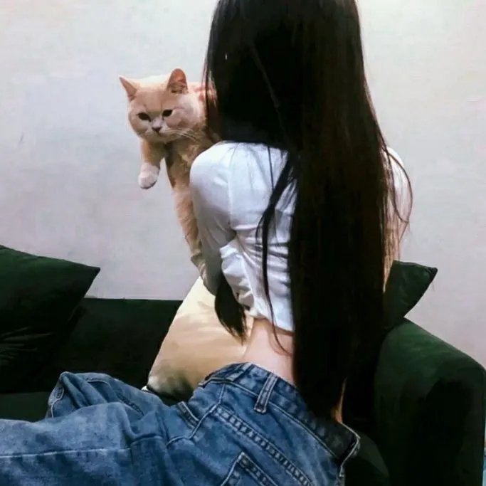 红毛猩猩的秘密生活